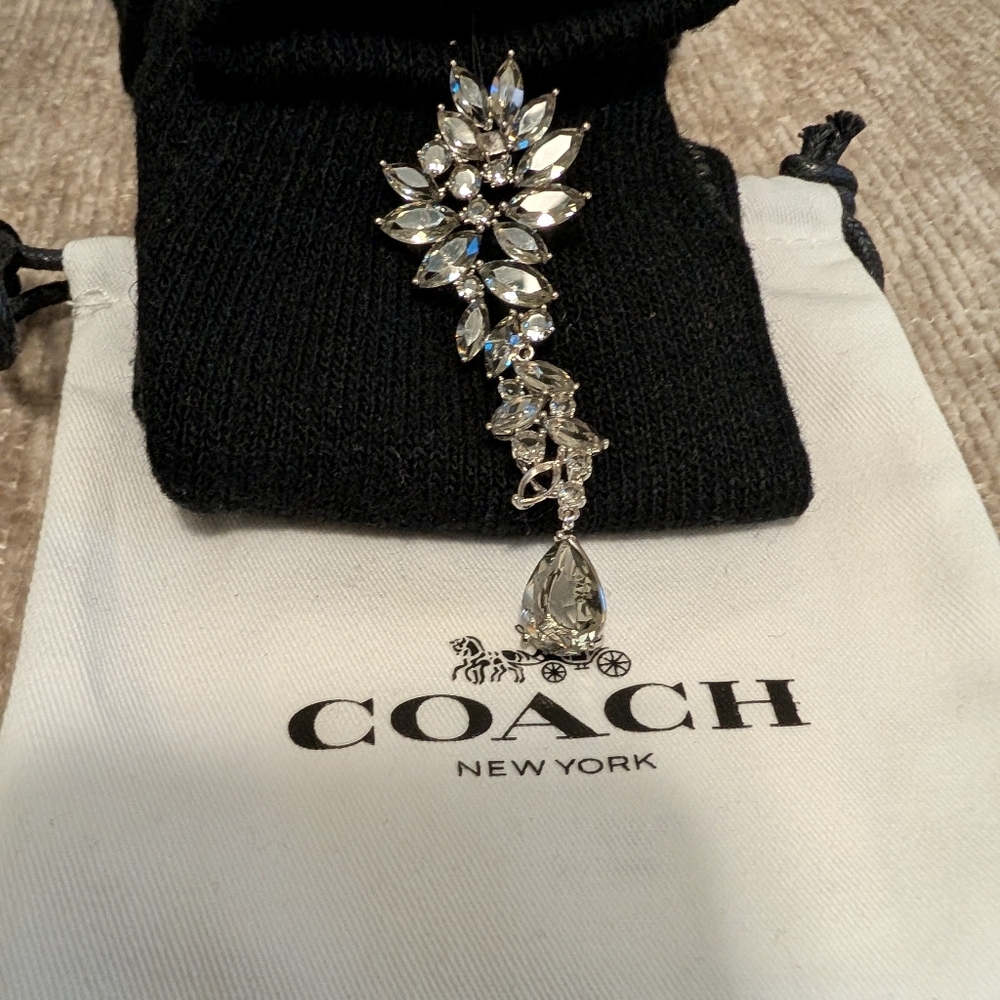 ✨ Coach Crystal Drop Statement Earring ✨